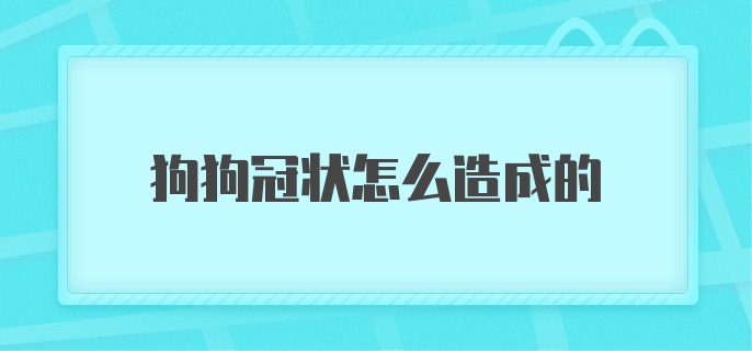 狗狗冠状怎么造成的