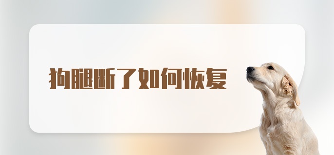 狗腿断了如何恢复