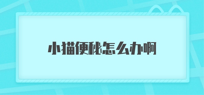 小猫便秘怎么办啊