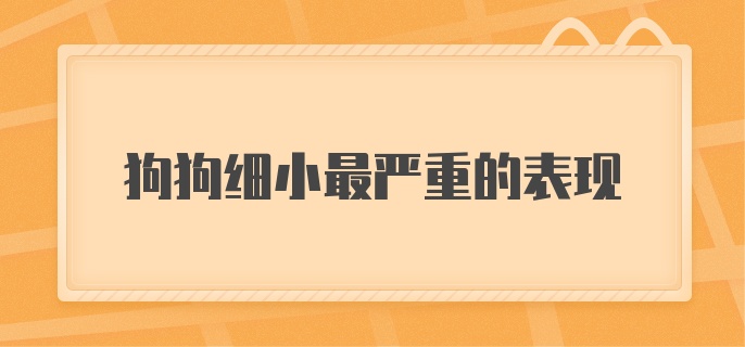 狗狗细小最严重的表现