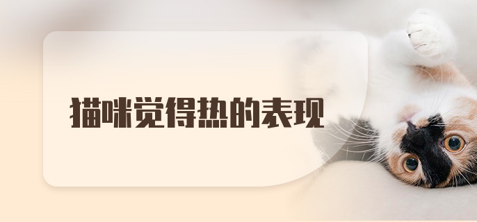 猫咪觉得热的表现