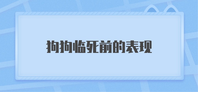 狗狗临死前的表现