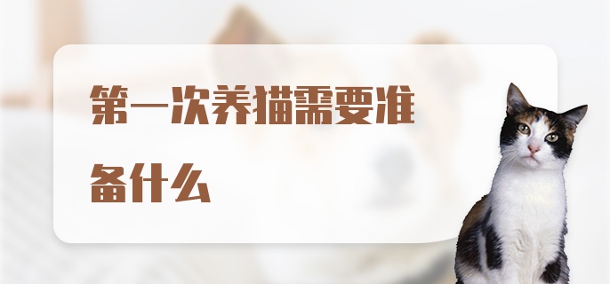 第一次养猫需要准备什么