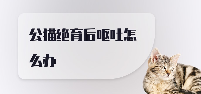 公猫绝育后呕吐怎么办