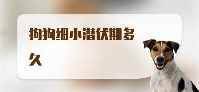 狗狗细小潜伏期多久