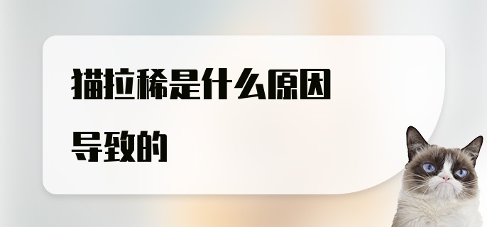 猫拉稀是什么原因导致的