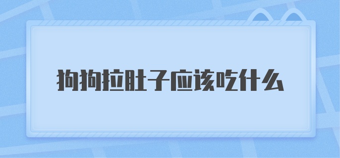 狗狗拉肚子应该吃什么