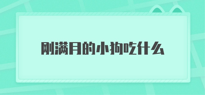 刚满月的小狗吃什么