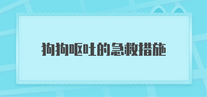 狗狗呕吐的急救措施