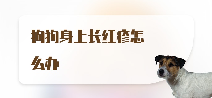 狗狗身上长红疹怎么办