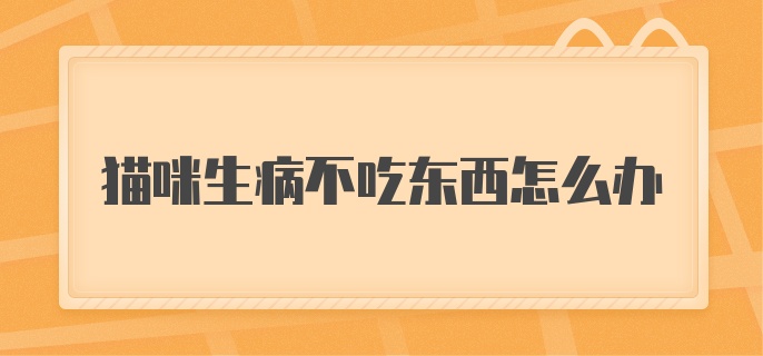 猫咪生病不吃东西怎么办？