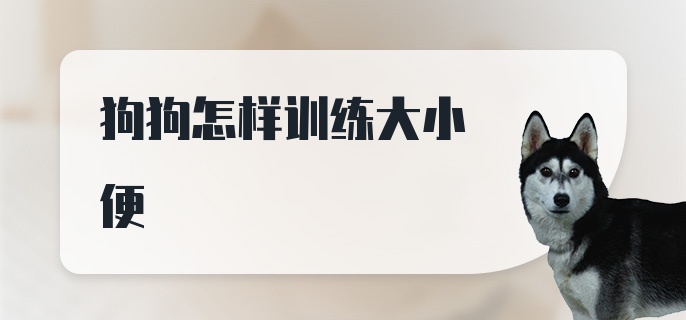 狗狗怎样训练大小便