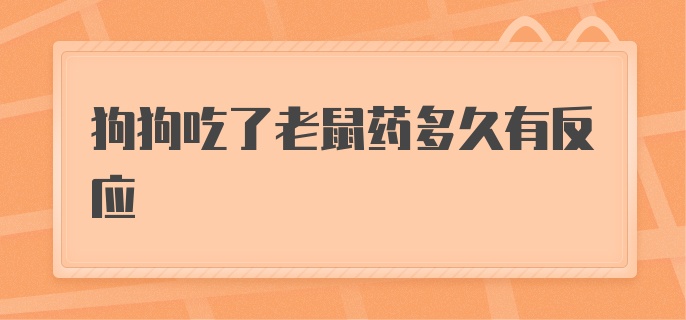 狗狗吃了老鼠药多久有反应