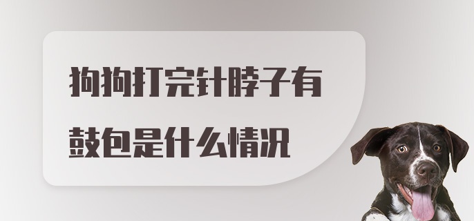 狗狗打完针脖子有鼓包是什么情况