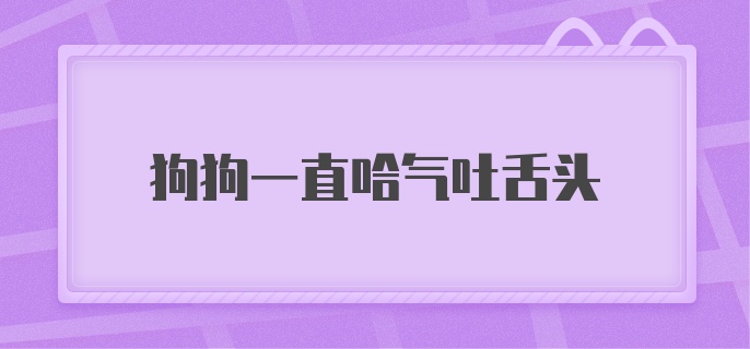 狗狗一直哈气吐舌头