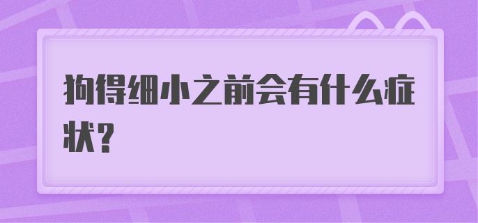 狗得细小之前会有什么症状?