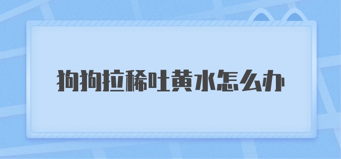 狗狗拉稀吐黄水怎么办