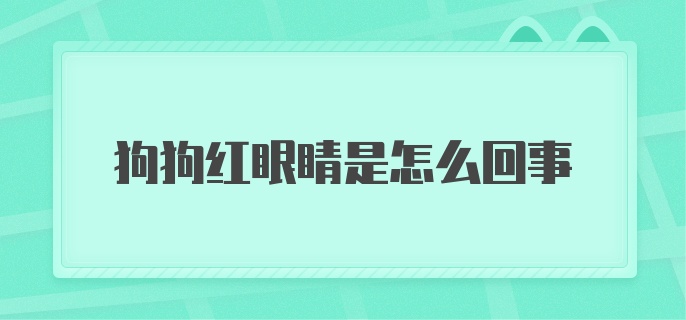 狗狗红眼睛是怎么回事