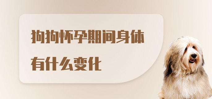 狗狗怀孕期间身体有什么变化