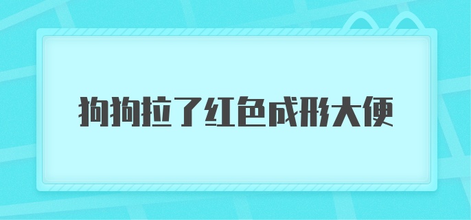 狗狗拉了红色成形大便