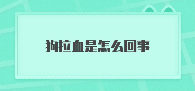 狗狗拉血是怎么回事啊？