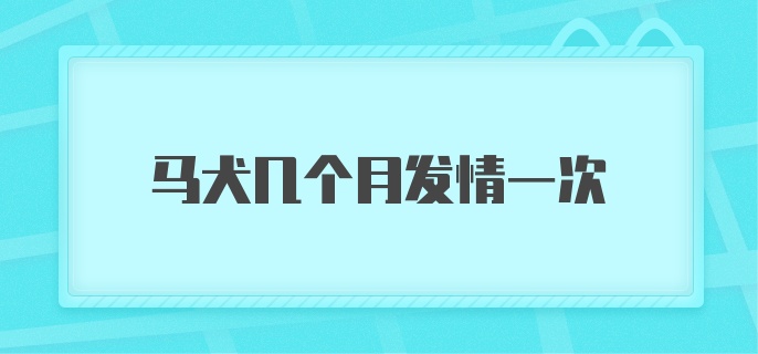 马犬几个月发情一次