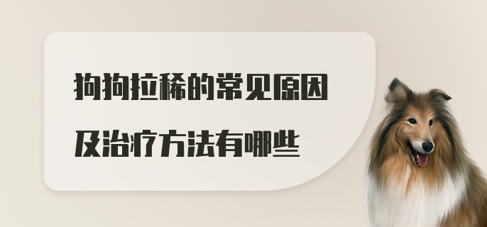 狗狗拉稀的常见原因及治疗方法有哪些