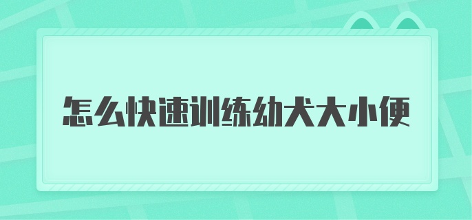 怎么快速训练幼犬大小便