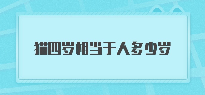 猫四岁相当于人多少岁