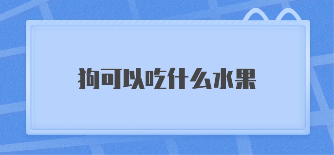 狗可以吃什么水果