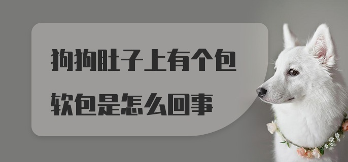 狗狗肚子上有个包软包是怎么回事