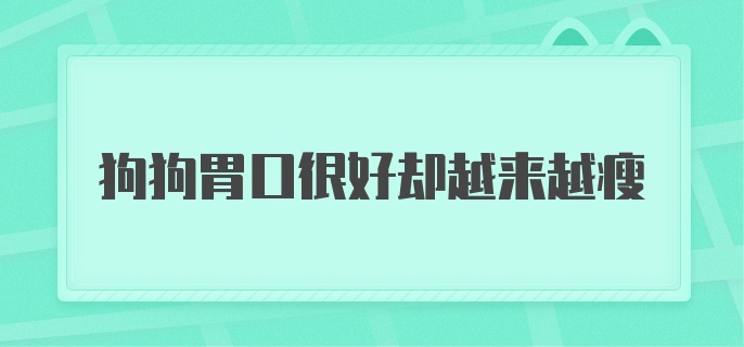 狗狗胃口很好却越来越瘦