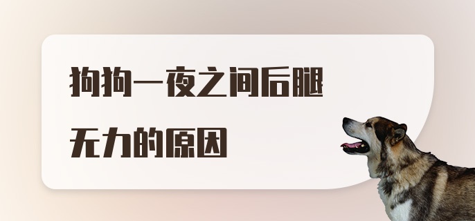 狗狗一夜之间后腿无力的原因