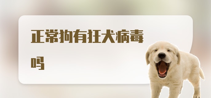 正常狗有狂犬病毒吗