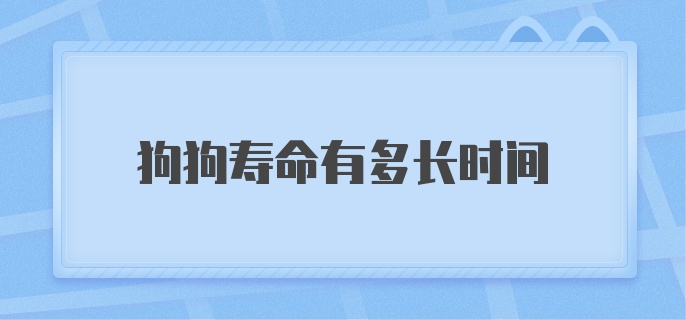 狗狗寿命有多长时间