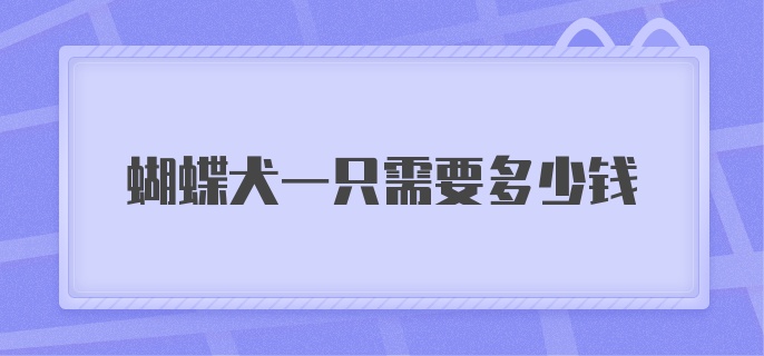 蝴蝶犬一只需要多少钱