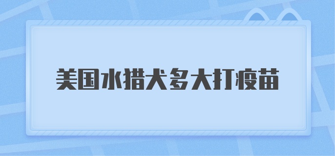 美国水猎犬多大打疫苗