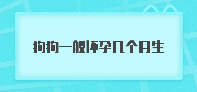 狗狗一般怀孕几个月生