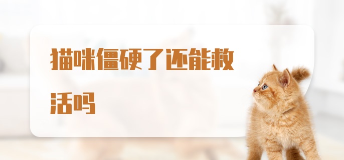 猫咪僵硬了还能救活吗