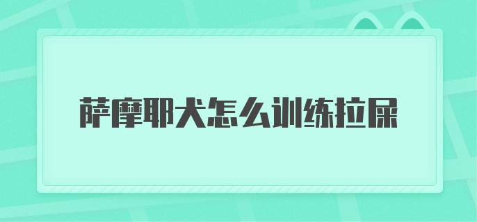 萨摩耶犬怎么训练拉屎