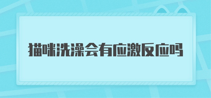 猫咪洗澡会有应激反应吗