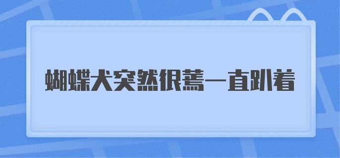 蝴蝶犬突然很蔫一直趴着