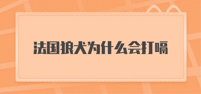 法国狼犬为什么会打嗝