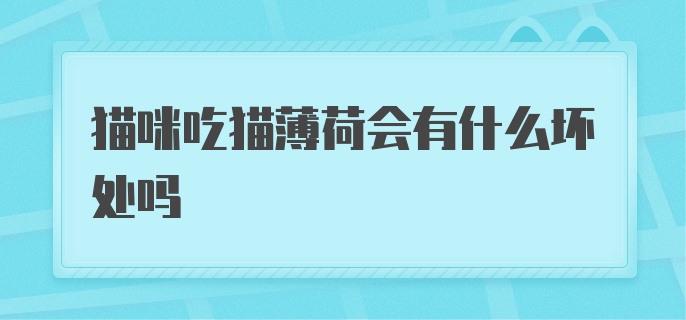 猫咪吃猫薄荷会有什么坏处吗