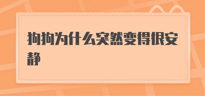 狗狗为什么突然变得很安静