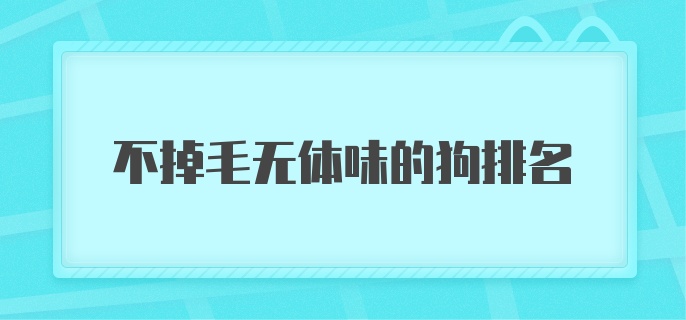 不掉毛无体味的狗排名