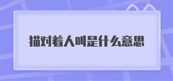 猫对着人叫是什么意思