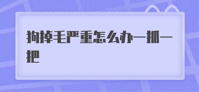 狗掉毛严重怎么办一抓一把