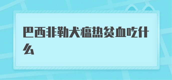 巴西非勒犬瘟热贫血吃什么