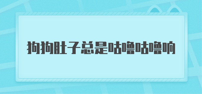 狗狗肚子总是咕噜咕噜响